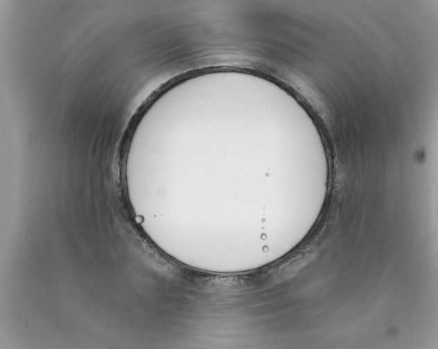 X0000089850883200707262105