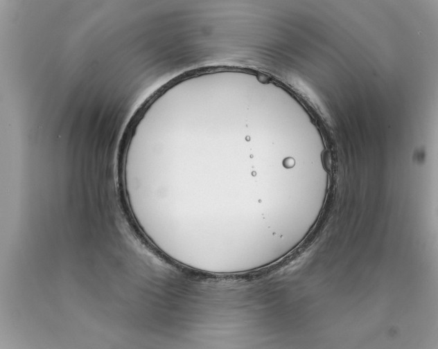 X0000089850884200707262105