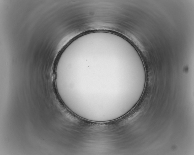 X0000089850885200707262105