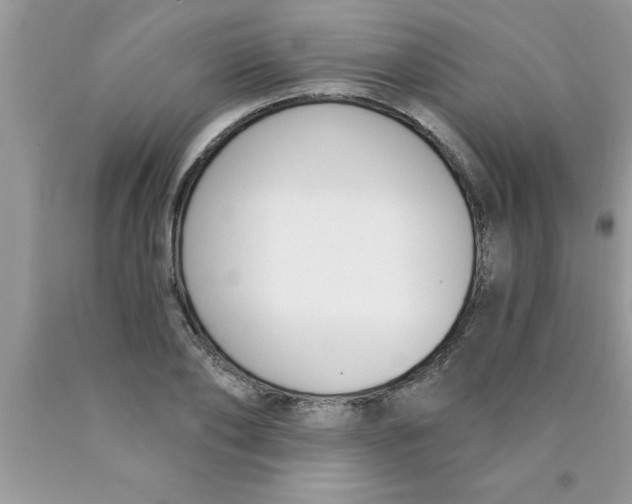 X0000089850886200707262105