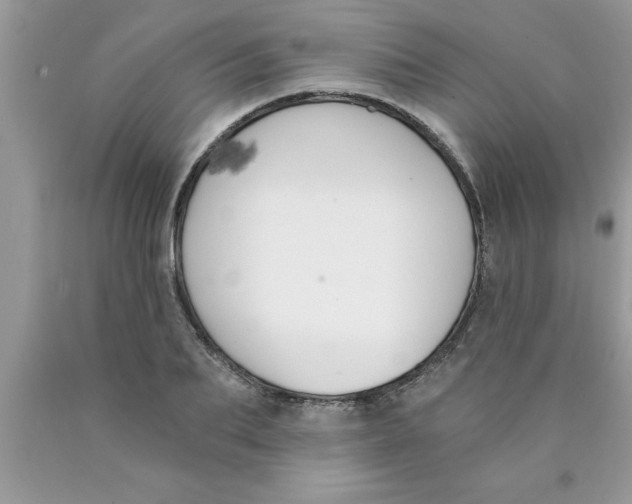 X0000089850887200707262105