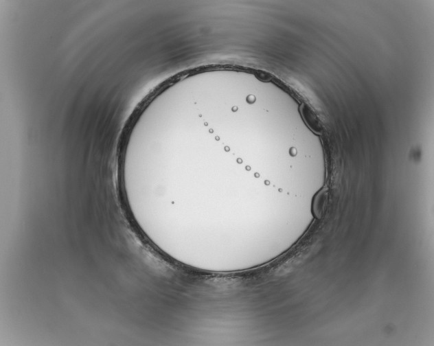 X0000089850888200707262105