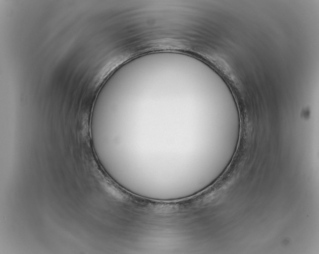 X0000089850889200707262105