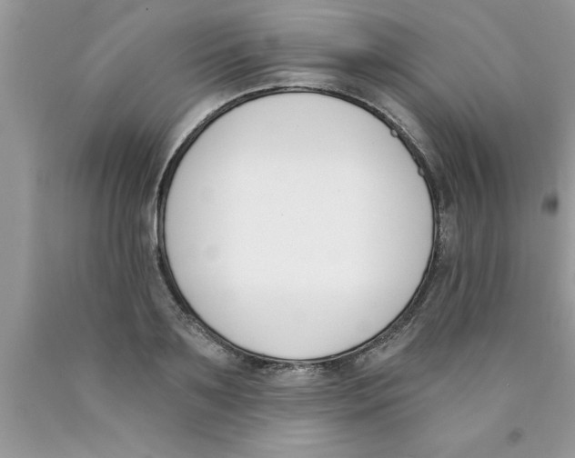 X0000089850891200707262105