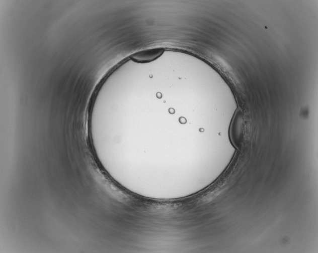 X0000089850892200707262105