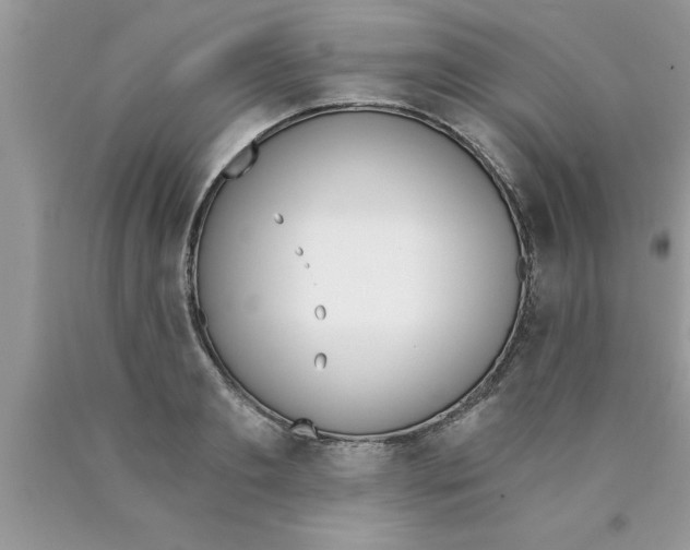 X0000089850893200707262105