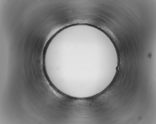 X0000089850894200707262105