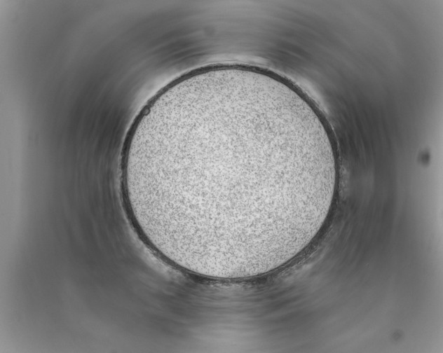 X0000089850895200707262105