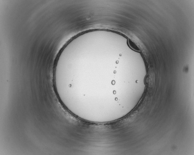 X0000089850896200707262105