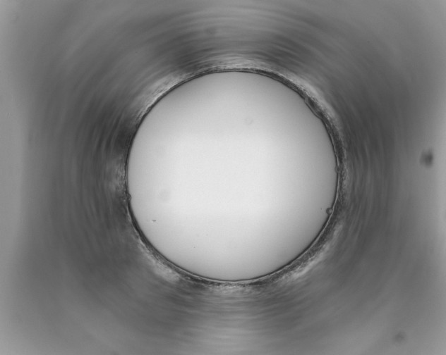 X0000089850897200707262105