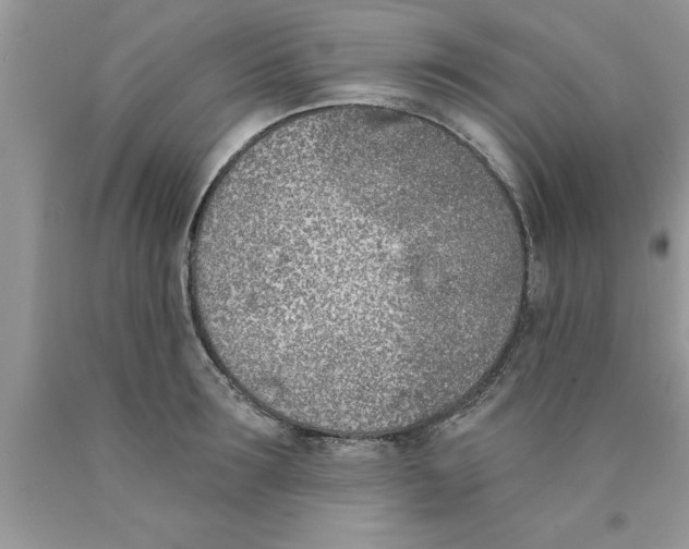 X0000089850899200707262105