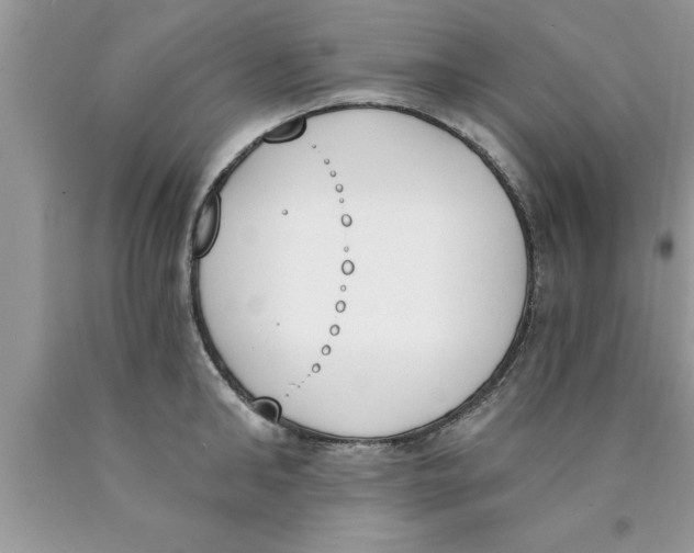 X0000089850902200707262105