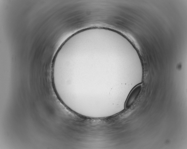 X0000089850903200707262105