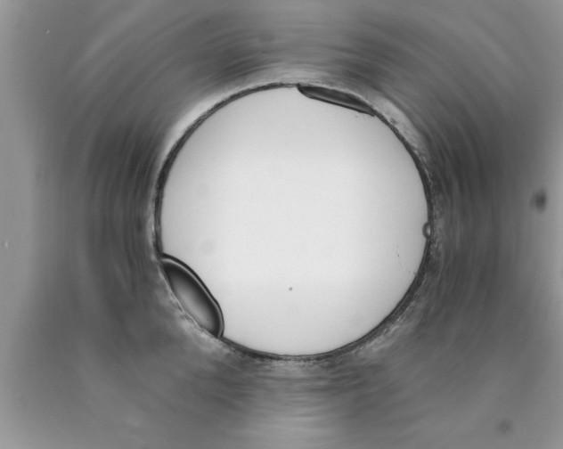 X0000089850904200707262105