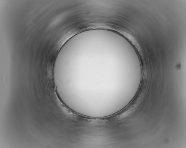 X0000089850905200707262105