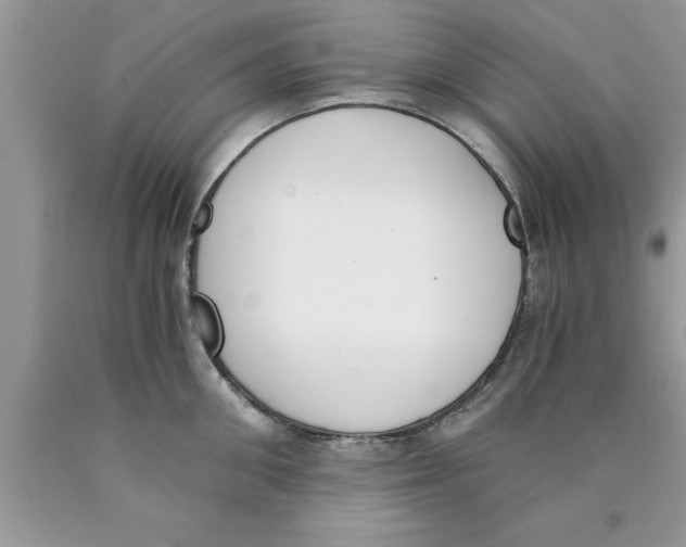 X0000089850906200707262105