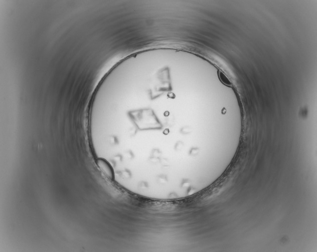 X0000089850907200707262105