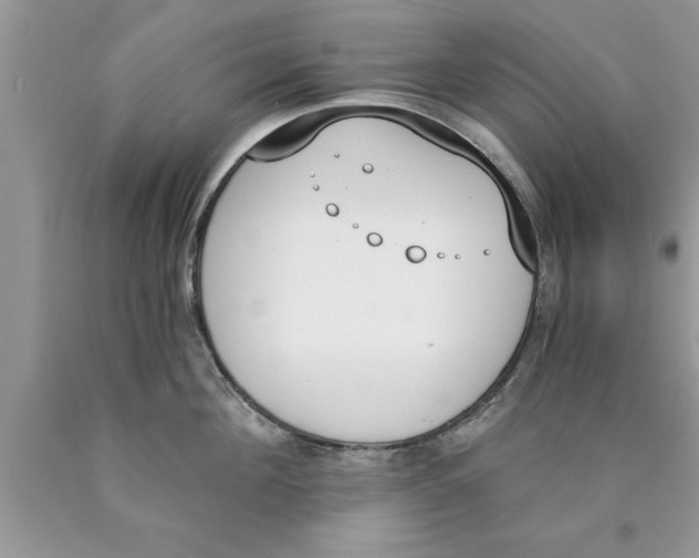 X0000089850908200707262105