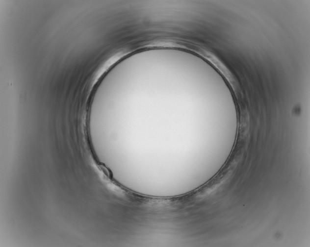 X0000089850909200707262105