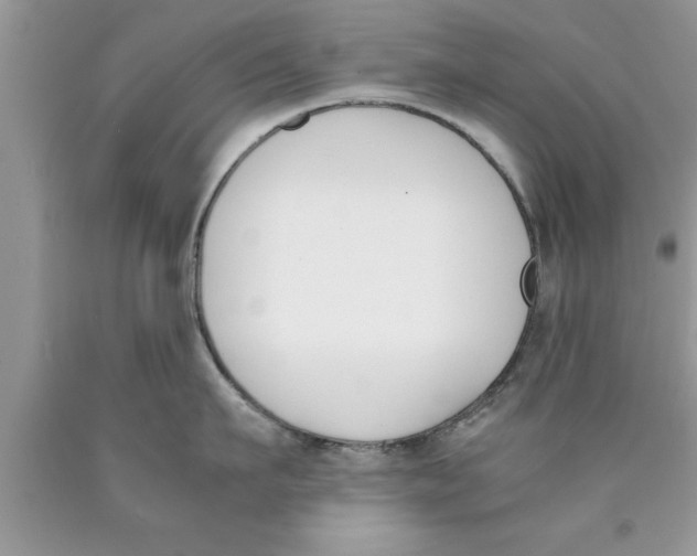 X0000089850911200707262105