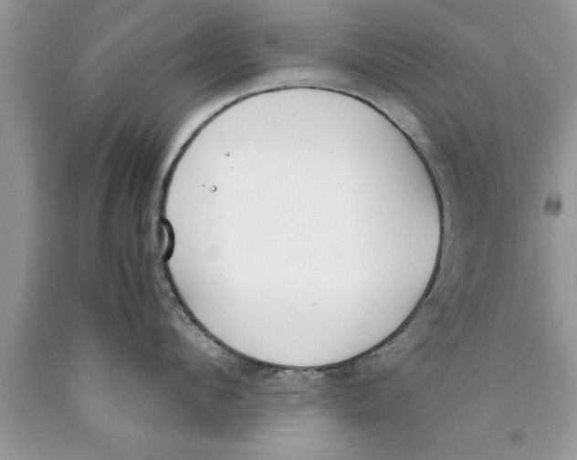 X0000089850912200707262105