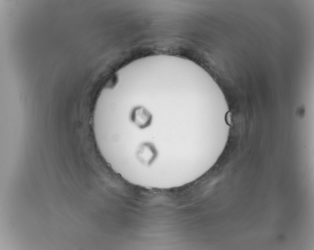 X0000089850913200707262104