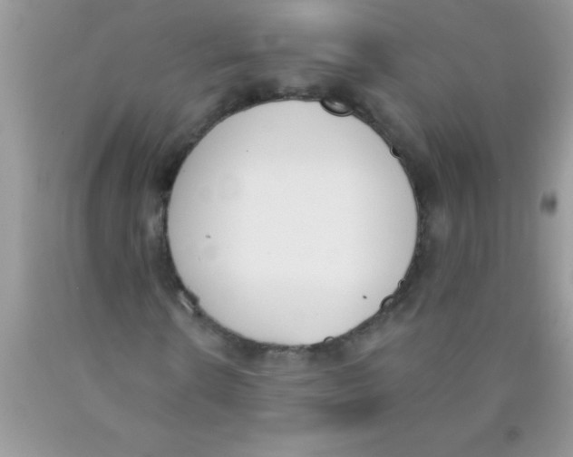 X0000089850914200707262104