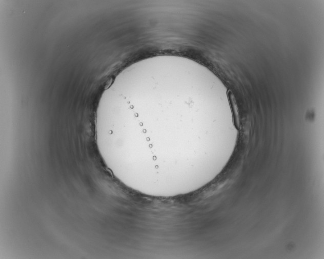 X0000089850916200707262104