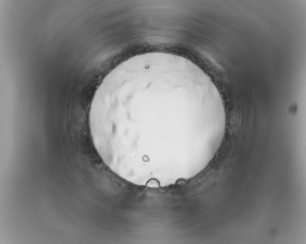 X0000089850917200707262104