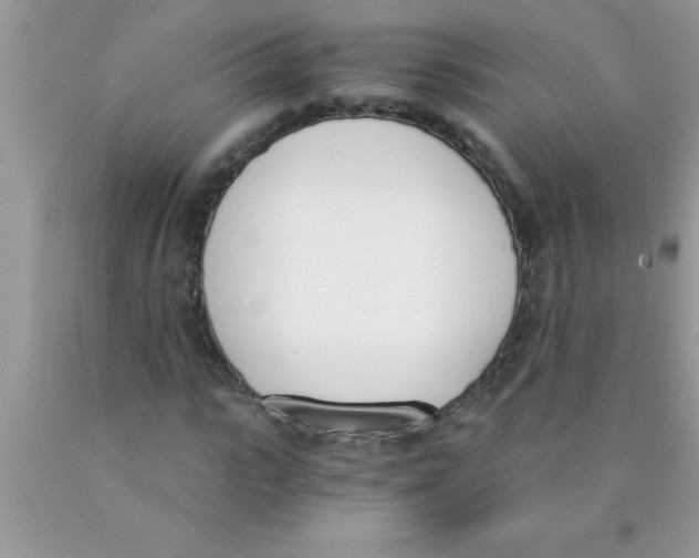 X0000089850919200707262104