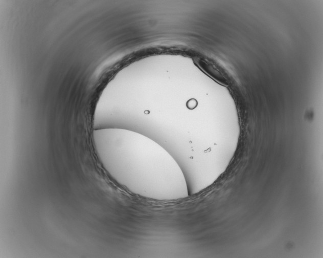 X0000089850920200707262104