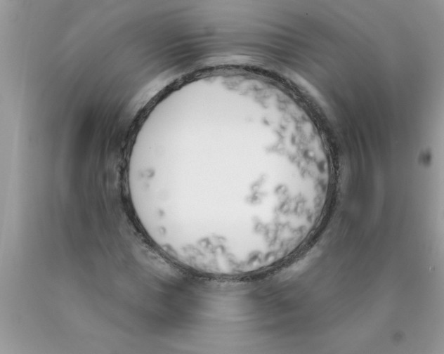 X0000089850921200707262105