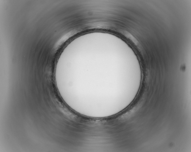 X0000089850922200707262105