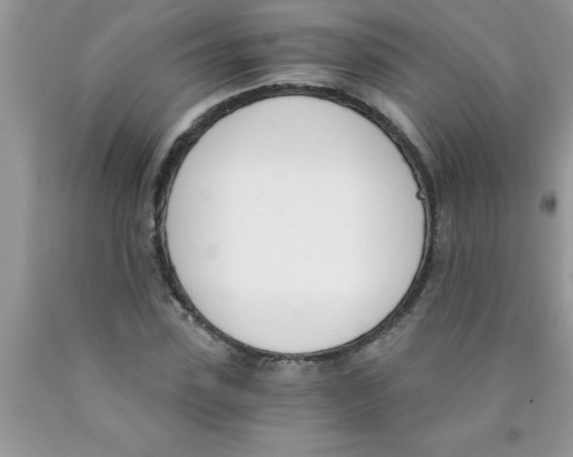 X0000089850923200707262105