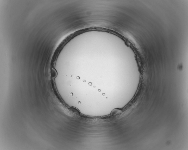 X0000089850924200707262105