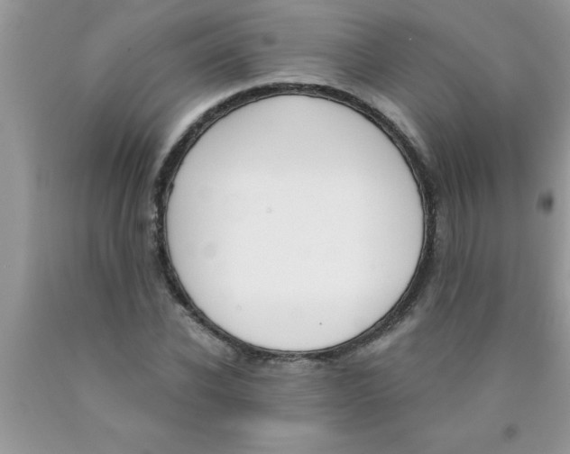 X0000089850926200707262105