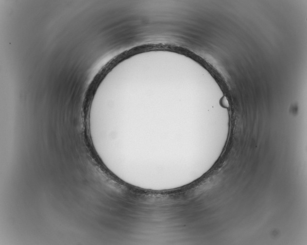 X0000089850927200707262105