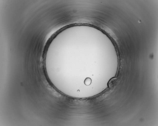 X0000089850928200707262105