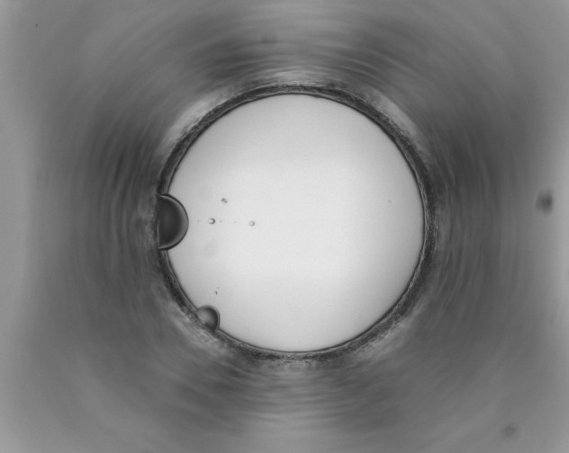 X0000089850930200707262105