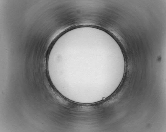 X0000089850933200707262105