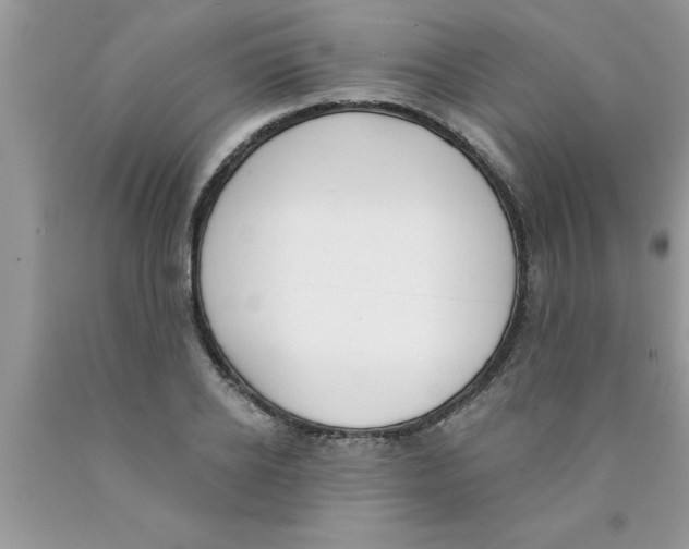 X0000089850934200707262105