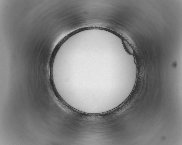 X0000089850936200707262105