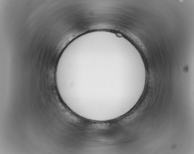 X0000089850937200707262105