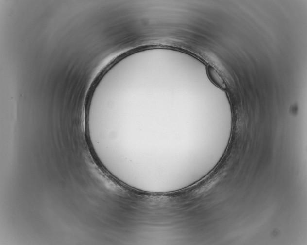 X0000089850940200707262105