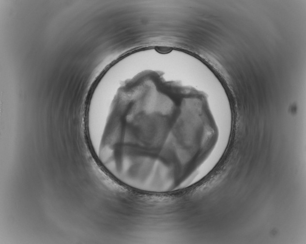 X0000089850941200707262105