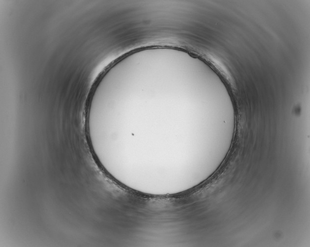 X0000089850944200707262105