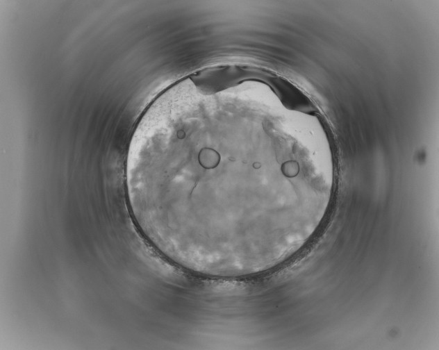 X0000089850945200707262105