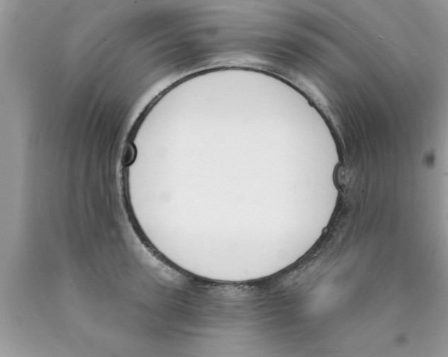 X0000089850947200707262105