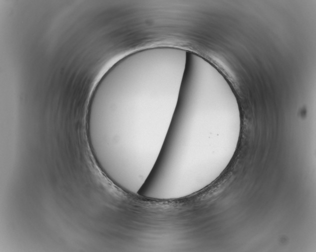 X0000089850948200707262105