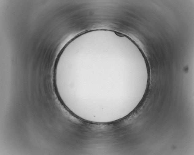 X0000089850949200707262105